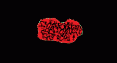 logo Scream After Cerebral Autopsy